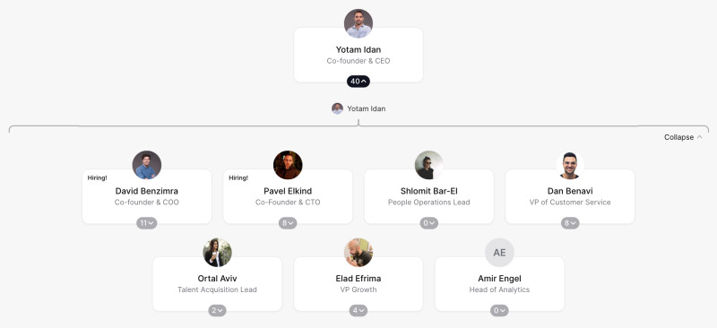 WeSki Org Chart